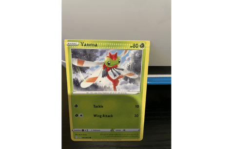 How Much Is a Pokemon Misprint Card Worth?