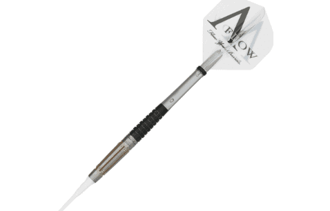 16+ Fallon sherrock darts weight info